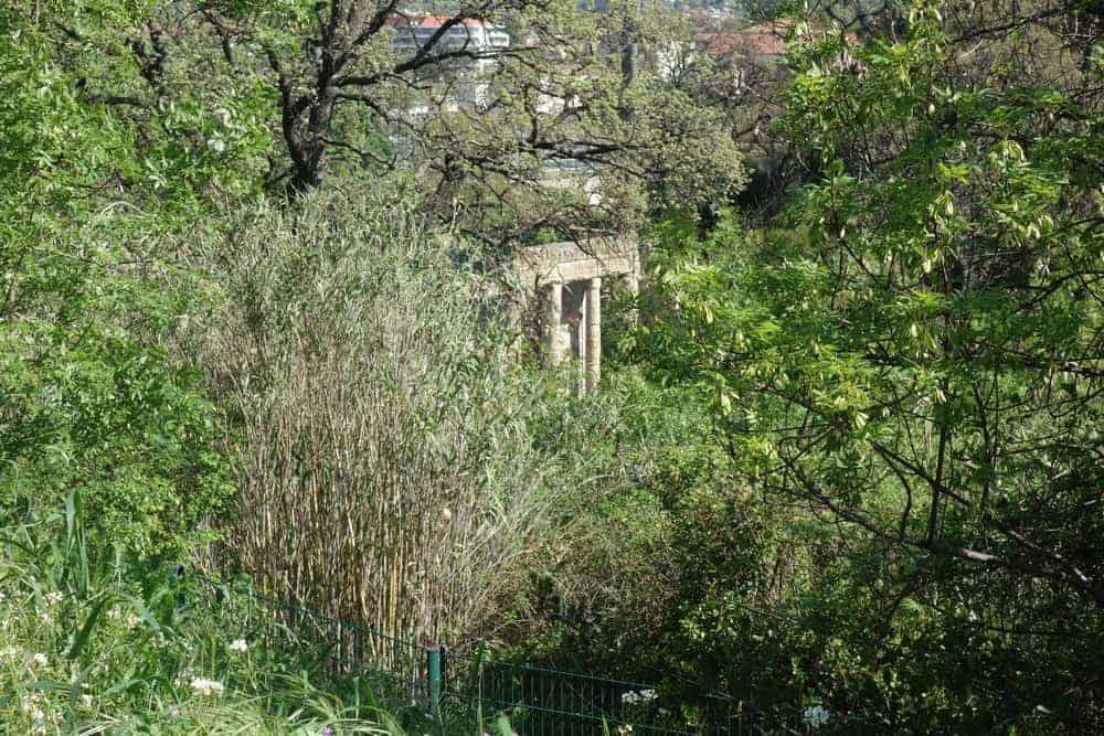 , Découvrez le Parc Athéna, poumon vert à la végétation abondante, Made in Marseille
