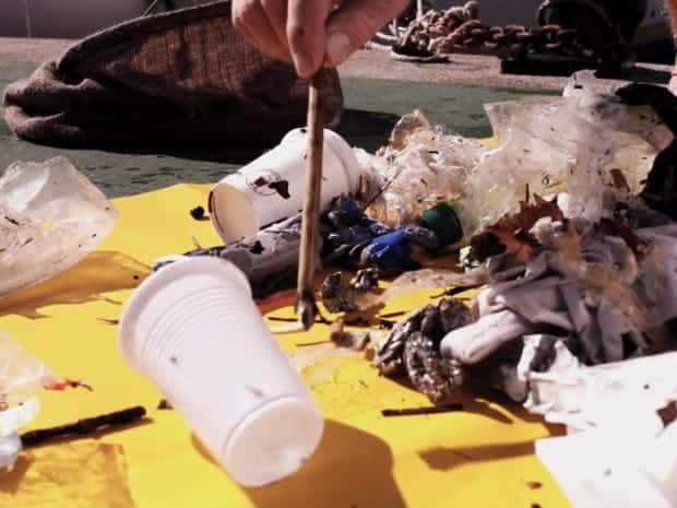 poubelle, Seabin Project – La poubelle qui nettoie la mer débarque à Marseille, Made in Marseille