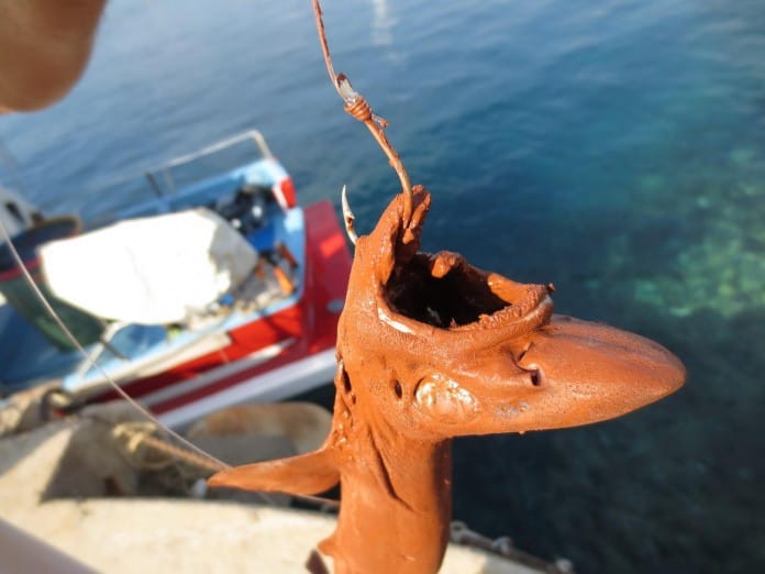 poisson-pollution-boue-rouge-calanque