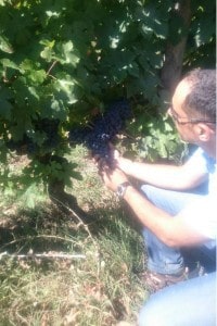 vin, [Rencontre] Quand deux passionnés de vin boostent la restauration, Made in Marseille