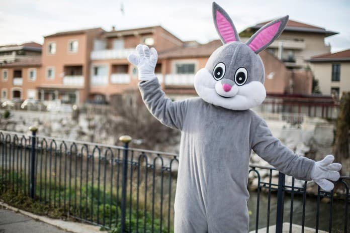 lapin-marseillais-semaine-humans