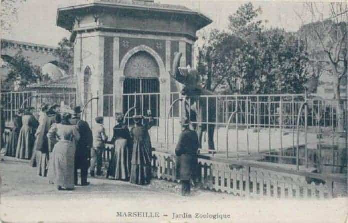 elephant-animaux-jardin-zoologique-longchamp