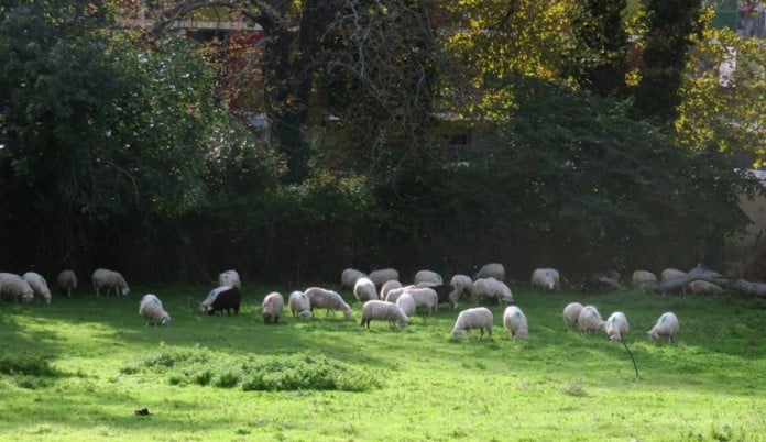 terre-bio-marseille-region-paca