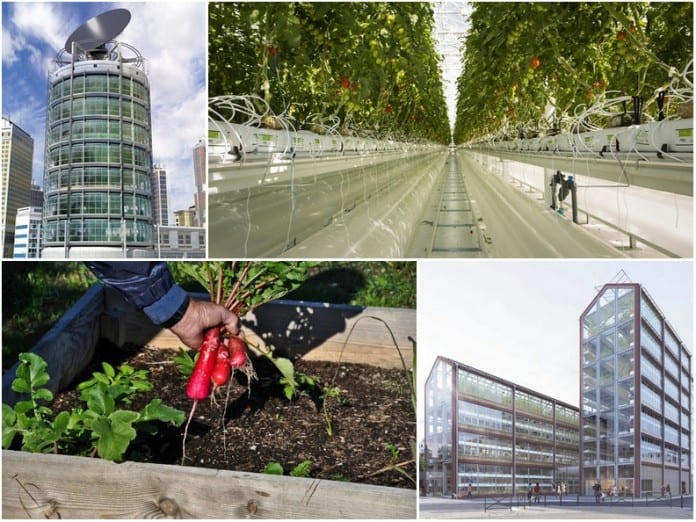 agriculture-ultra-urbaine-ferme-verticale