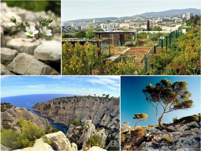 top-ville-france-biodiversite