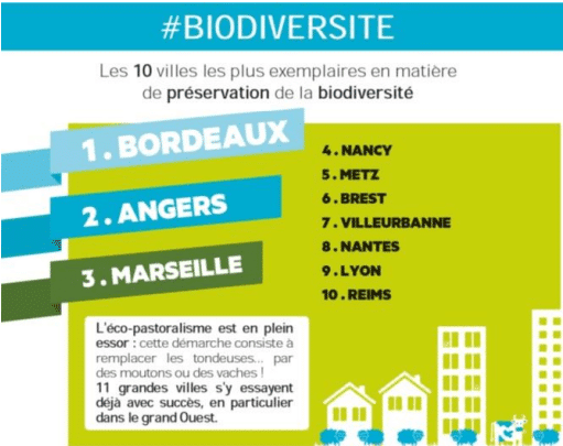 biodiversité, Marseille en 3e place des villes avec le plus de biodiversité en France !, Made in Marseille