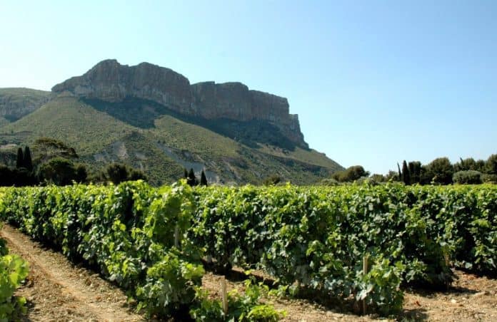 vin-domaine-cassis-aoc