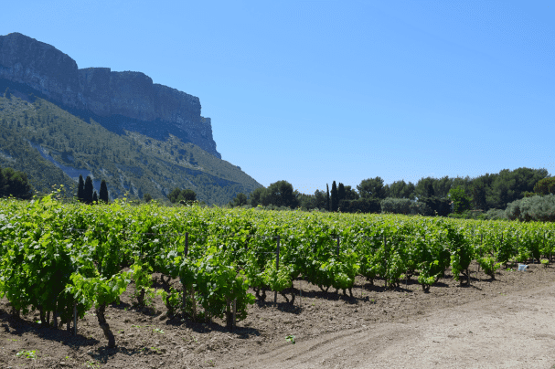 vin, Vin de Cassis, à la découverte des 12 domaines d&rsquo;exception, Made in Marseille