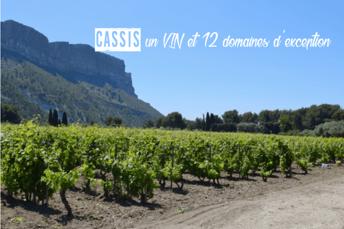 vin-cassis-nom-12-domaines