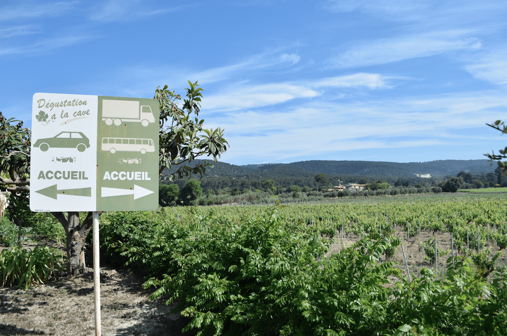 vin, Vin de Cassis, à la découverte des 12 domaines d&#8217;exception, Made in Marseille