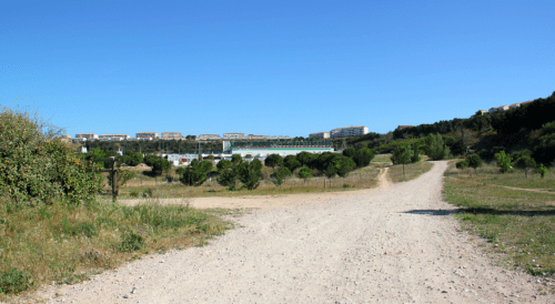 parc-espace-vert-foresta-grand-littoral