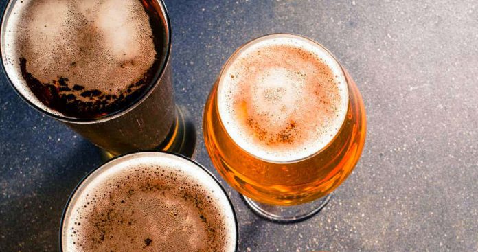 brasserie-biere-artisanale-provence-france