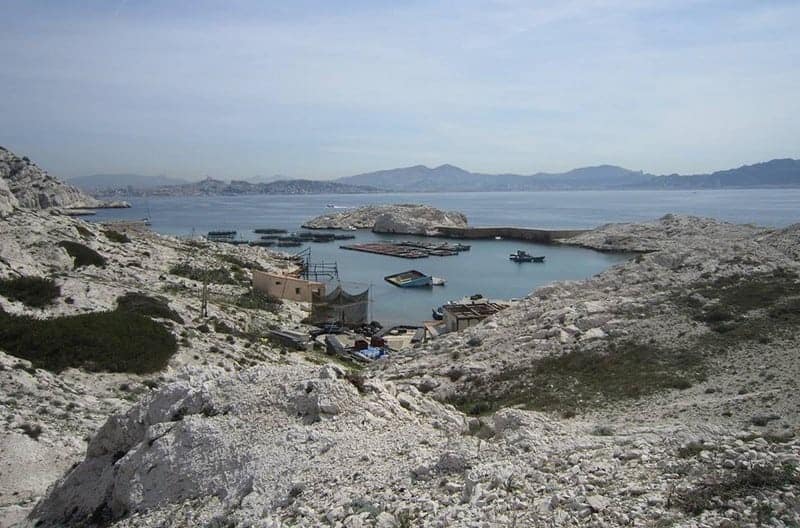 , Jardin de Némo &#8211; Des potagers écologiques qui poussent dans la mer, Made in Marseille