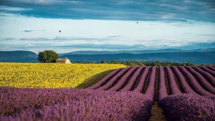 agriculture-proximite-lycee-provence