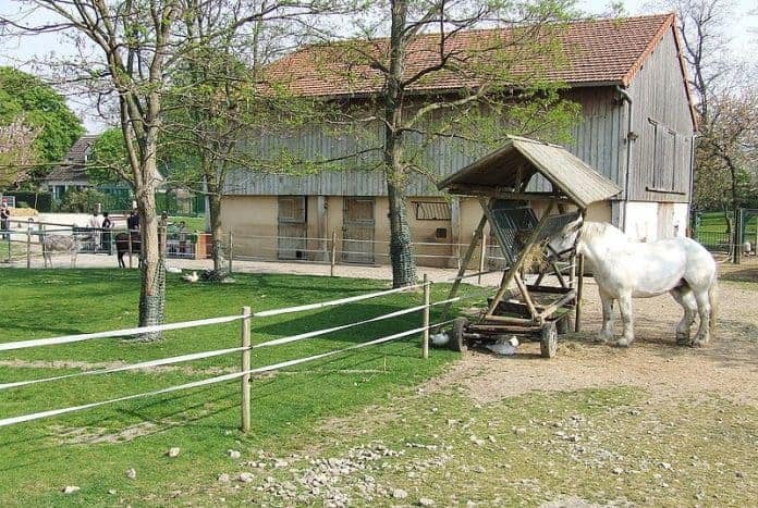ferme-animaux-nature-provence