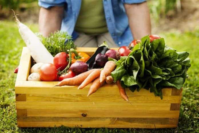 tour-france-agroecologie-cite-arts-rue