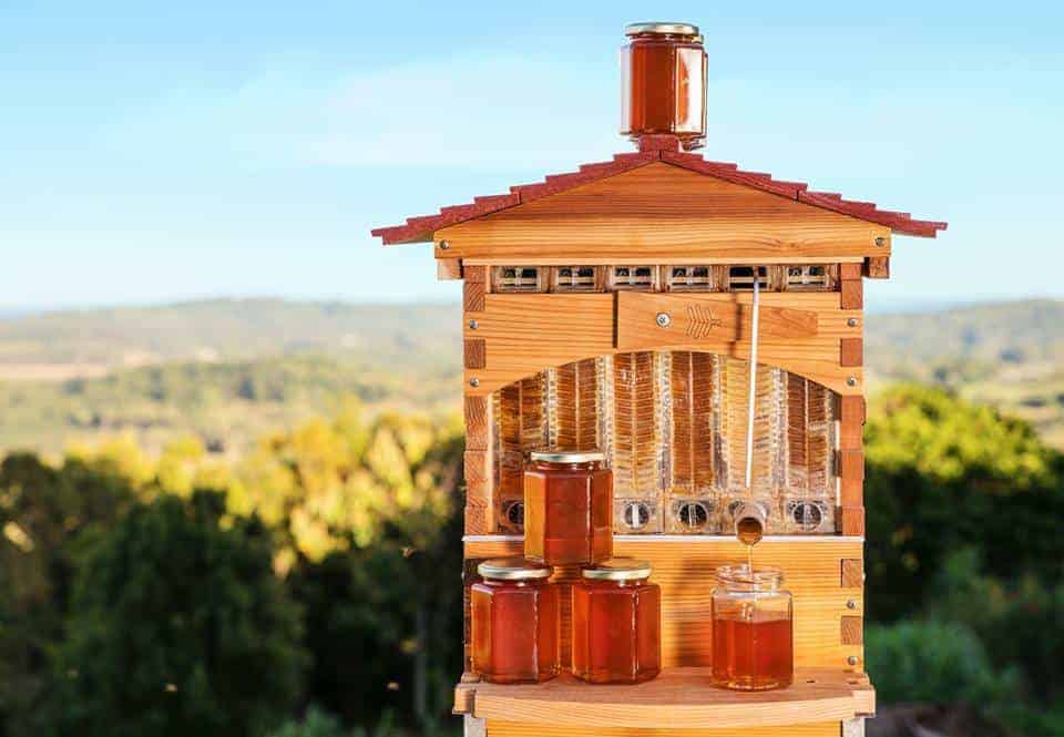 , Flow Hive – Les ruches intelligentes pour récolter le miel sans gêner les abeilles, Made in Marseille