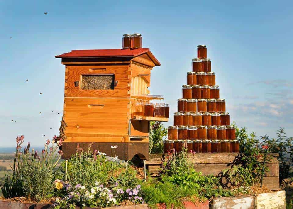Jintaihua 7 nids dabeille automatique production de miel Abeille ruche apiculture Hive Apiculture Miel Essoreuse