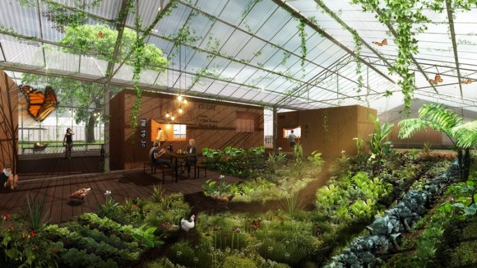 cite-agriculture-urbaine-centre-ville