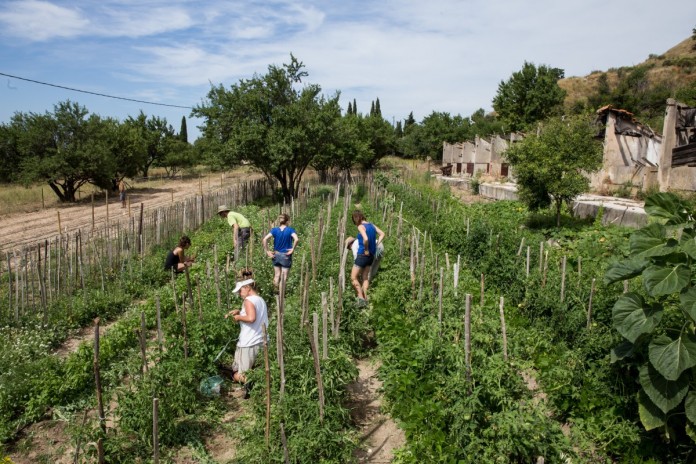 agriculture-urbaine-marseille