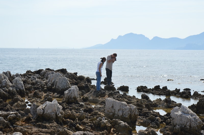 Balade, Balade insolite et éducative à la recherche des espèces littorales !, Made in Marseille