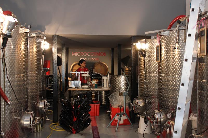 Microcosmos, Microcosmos, le seul vin made in Marseille se dévoile, Made in Marseille