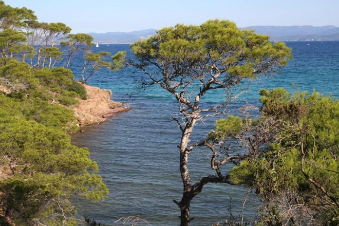 plage-ile-porquerolles