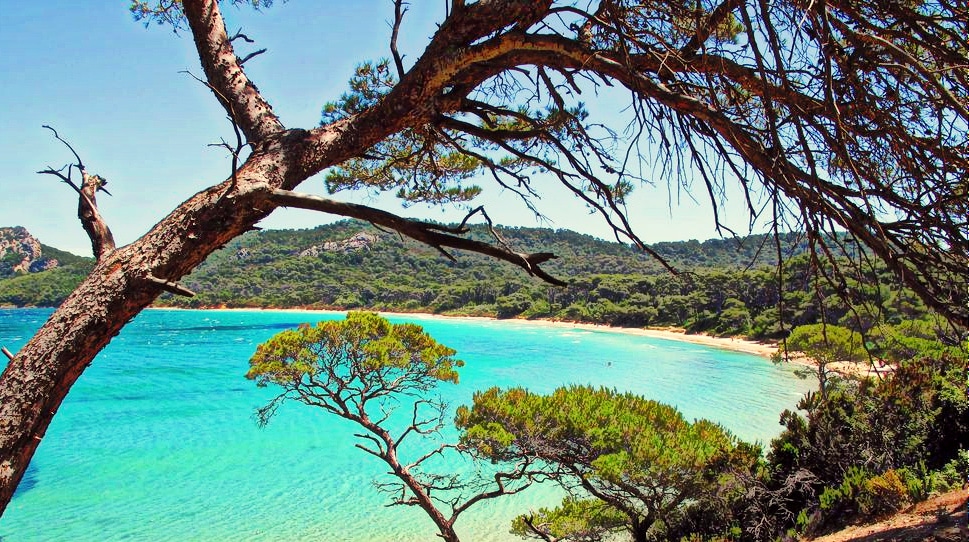 plus belles plages, Les plus belles plages de Provence, du Var et de la Côte d&rsquo;Azur, Made in Marseille