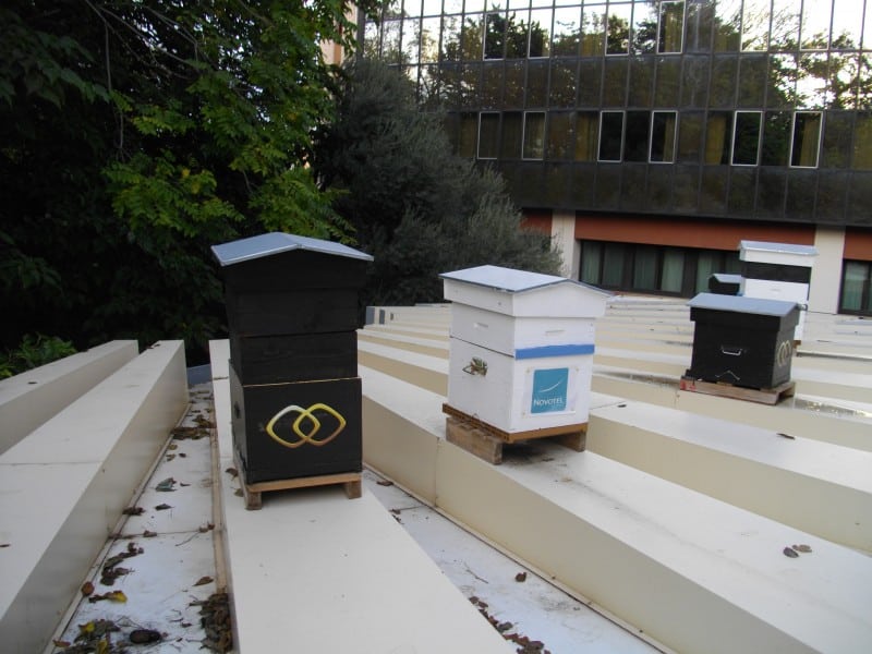 ruches, Insolite – Des ruches sur le toit des grands hôtels pour la survie des abeilles, Made in Marseille