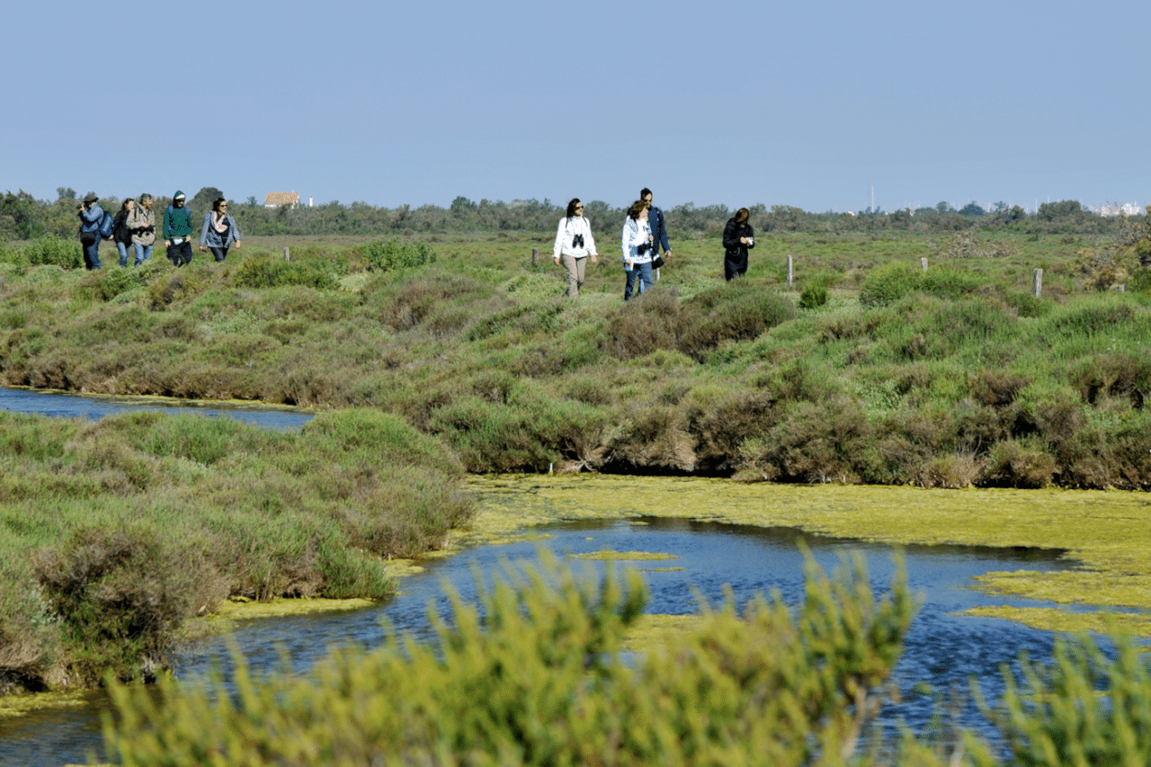 Festival De La Camargue Cinq Jours Pour Re D Couvrir Le Delta Du Rh Ne