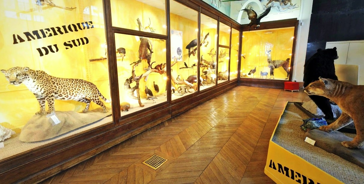 , Visiter le Muséum d’Histoire Naturelle et le Musée des Beaux-Arts de Longchamp, Made in Marseille