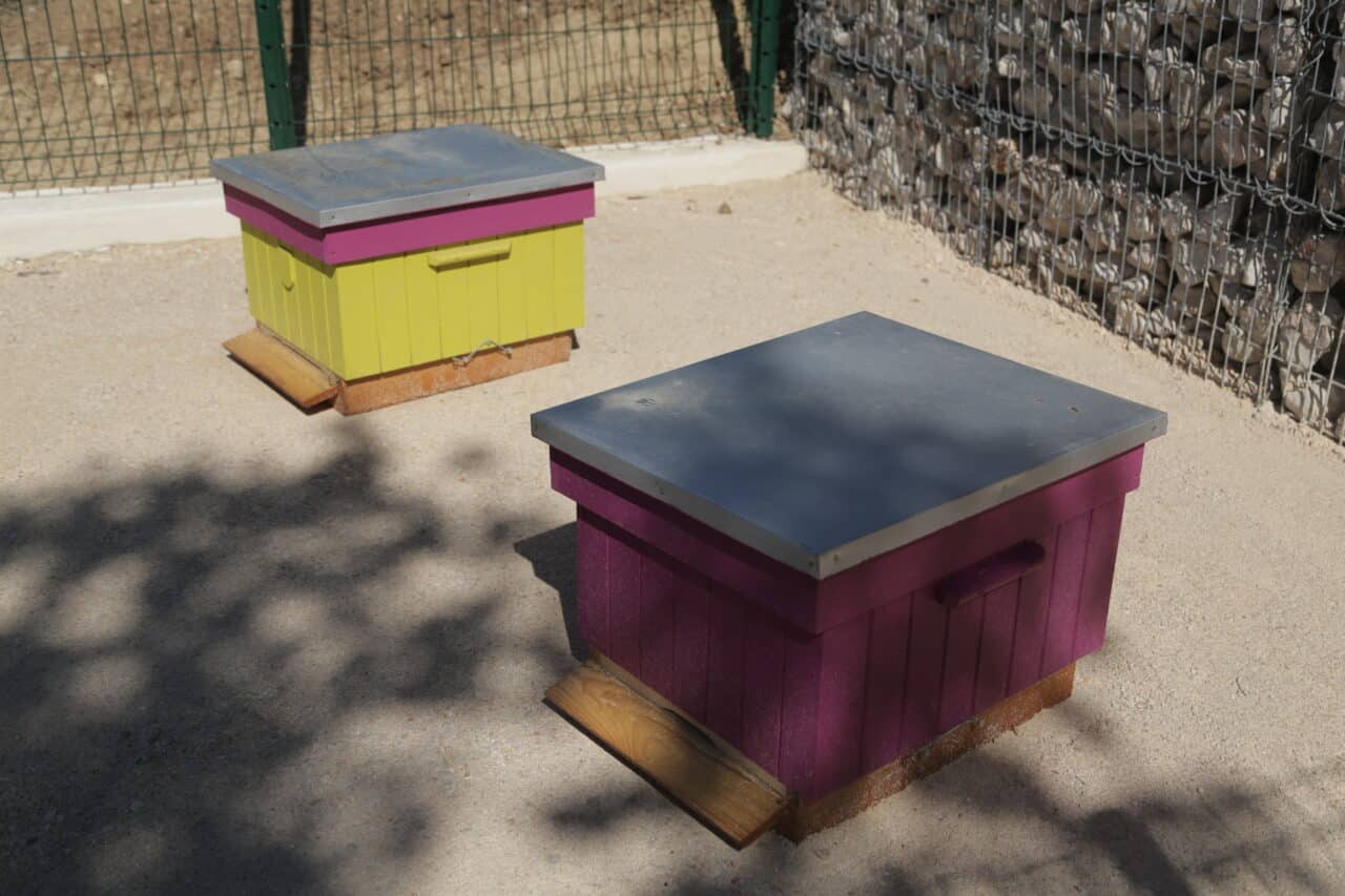 maison abeilles, À Montolivet, une nouvelle Maison des abeilles et de la biodiversité, Made in Marseille