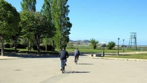 , Extension du parc Borély : feu vert pour le projet au conseil municipal, Made in Marseille