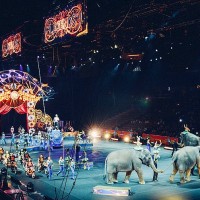 , Débat – Faut-il interdire les animaux dans les cirques et les parcs ?, Made in Marseille