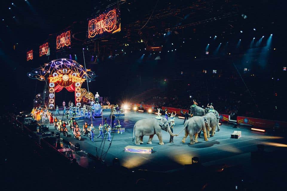 , La Ville va interdire les animaux sauvages dans les cirques, Made in Marseille