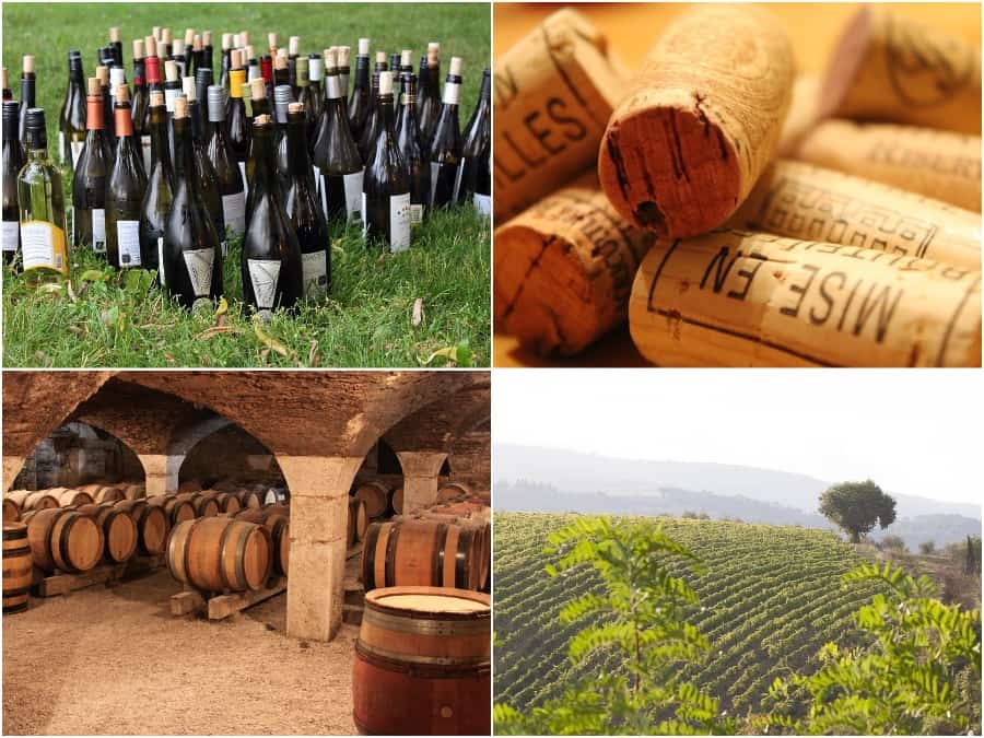 vins, [Reportage] Une année 2015 prometteuse pour les vins de Provence, Made in Marseille