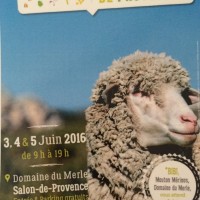 , Top départ pour le Salon des Agricultures de Provence 2018, Made in Marseille