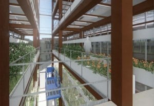 agriculture urbaine, Les toits de Marseille bientôt transformés en potagers !, Made in Marseille