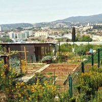 , Au Nord de Marseille, ouvrez les portes du jardin partagé du parc Athéna, Made in Marseille