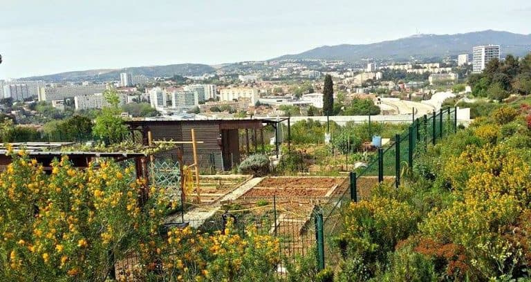 Marseille dans le top 3 français des villes avec le plus de jardins