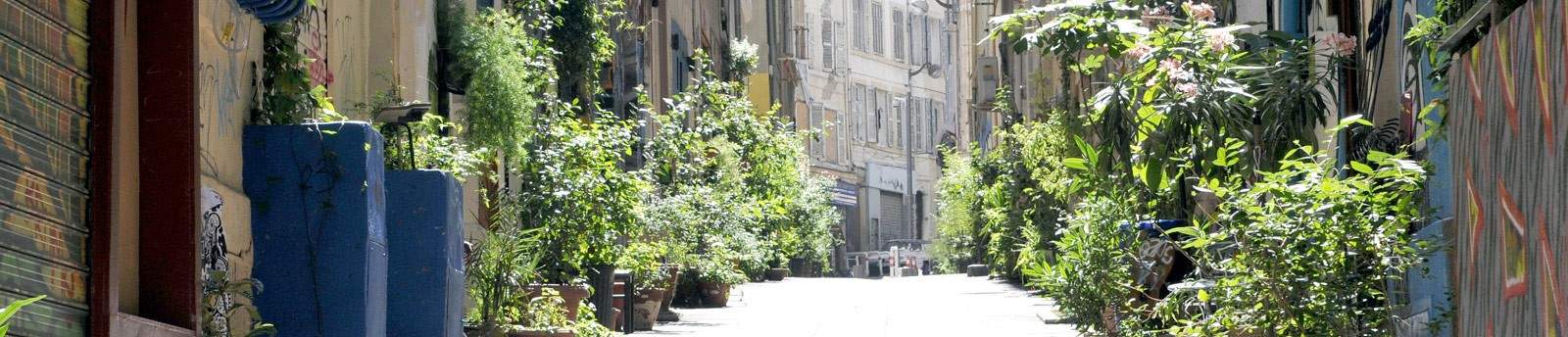 Marseille, Marseille adopte une charte pour que les habitants verdissent leurs rues, Made in Marseille
