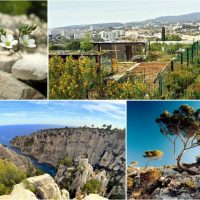 , Marseille recevra le congrès mondial pour la biodiversité en 2020, Made in Marseille