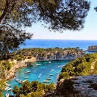 , Marseille recevra le congrès mondial pour la biodiversité en 2020, Made in Marseille