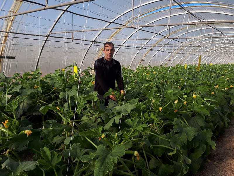 , Contre les pesticides, cet agriculteur provençal soigne ses légumes en musique, Made in Marseille