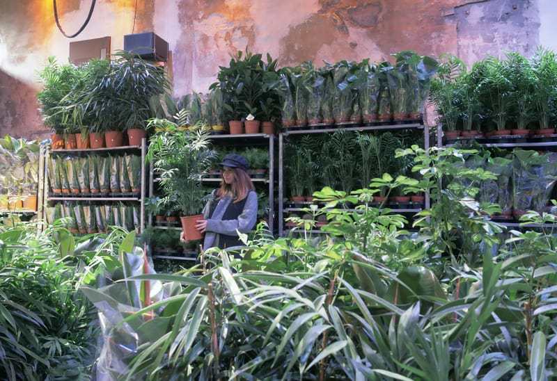 , Rendez-vous début février à la première grande vente de plantes à 2€ de l&rsquo;année, Made in Marseille