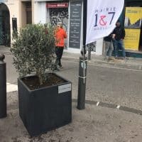 , À Marseille : habitants, assos et élus se lancent dans la végétalisation du centre-ville, Made in Marseille