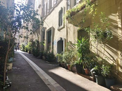 , A Marseille, le collectif Jardin de Noailles milite pour un quartier plus vert, Made in Marseille