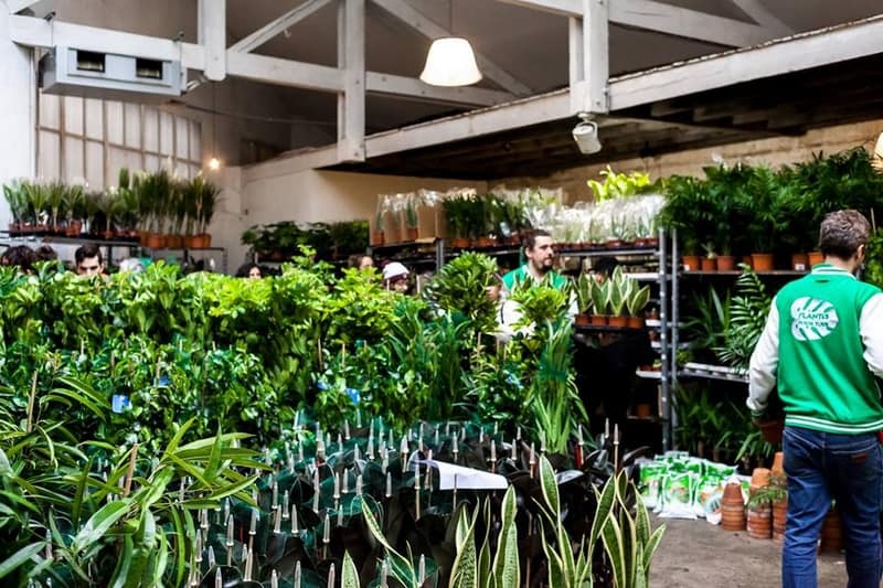 , Plantes pour tous : la grande vente de plantes à petits prix revient à Marseille, Made in Marseille
