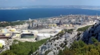 , L&rsquo;huile de palme bannie des biocarburants, quelles alternatives durables ?, Made in Marseille