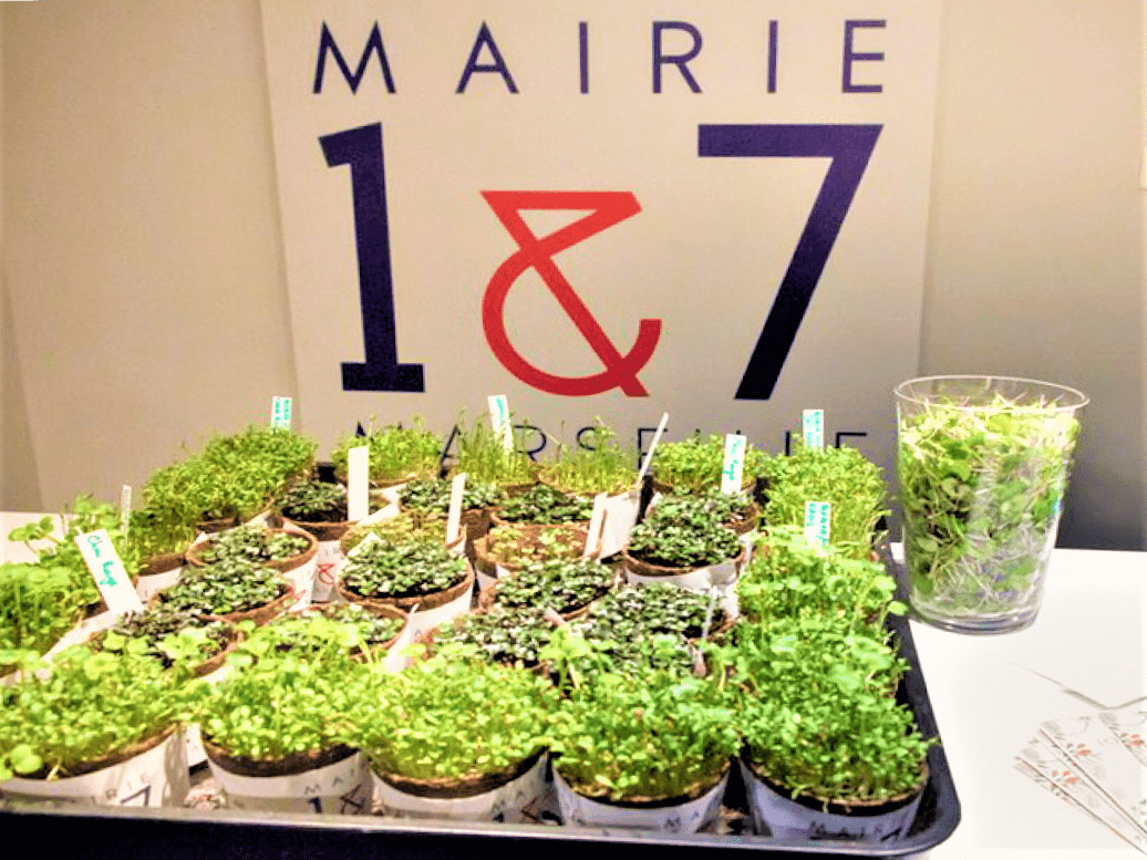 , Mois de l&#8217;écologie positive &#8211; la mairie des 1er et 7e se met au vert, Made in Marseille